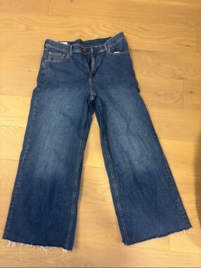 GAP stride wide jeans size 31/12
